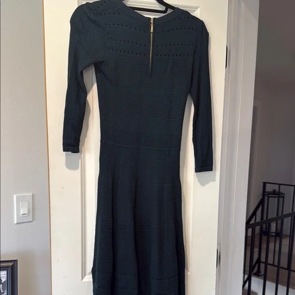 Eliza J Green Fit and Flare Long Sleeve Dress - Picture 3 of 3